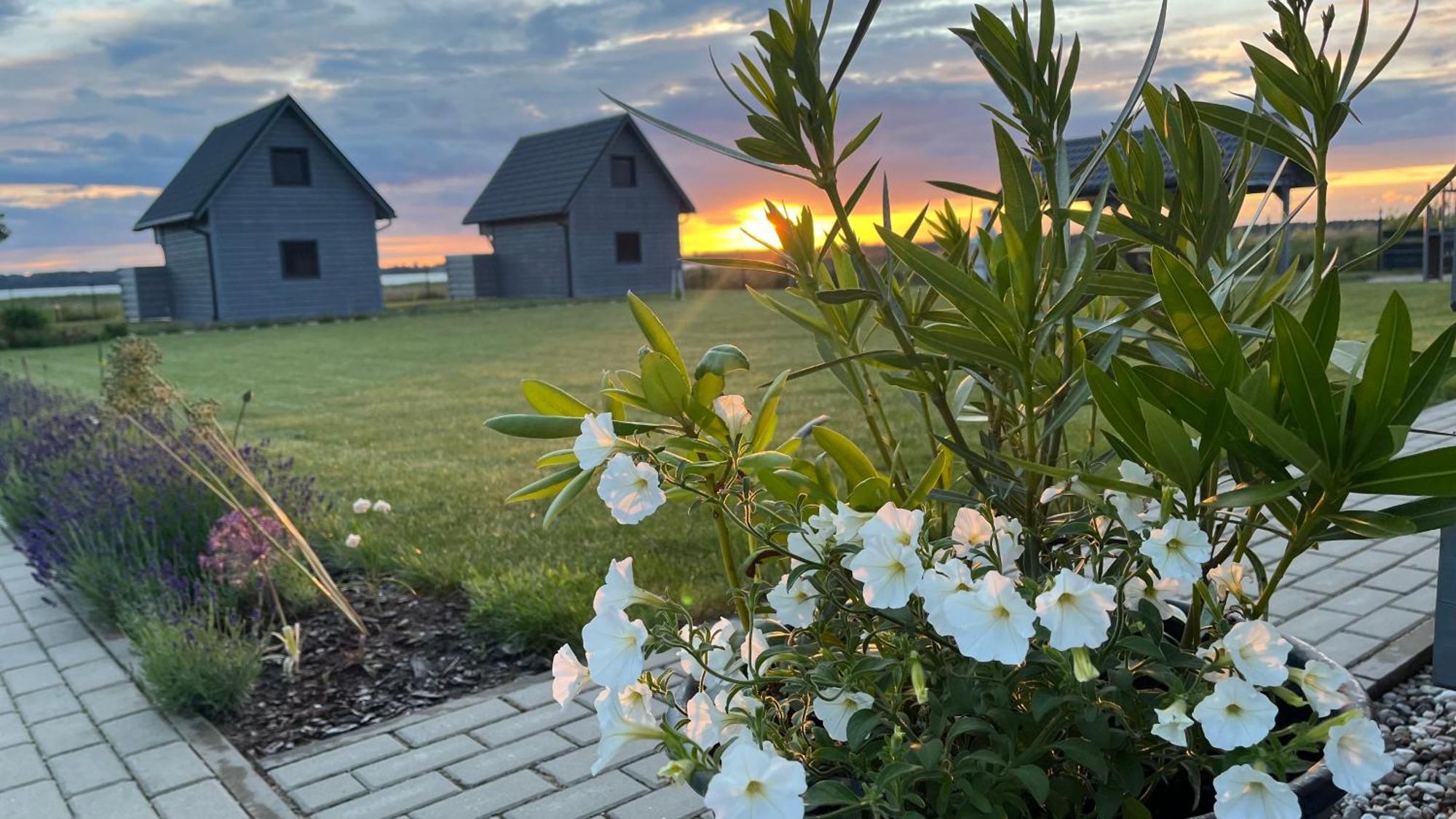 Sloneczna Przystan Villa Dziwnówek Dış mekan fotoğraf