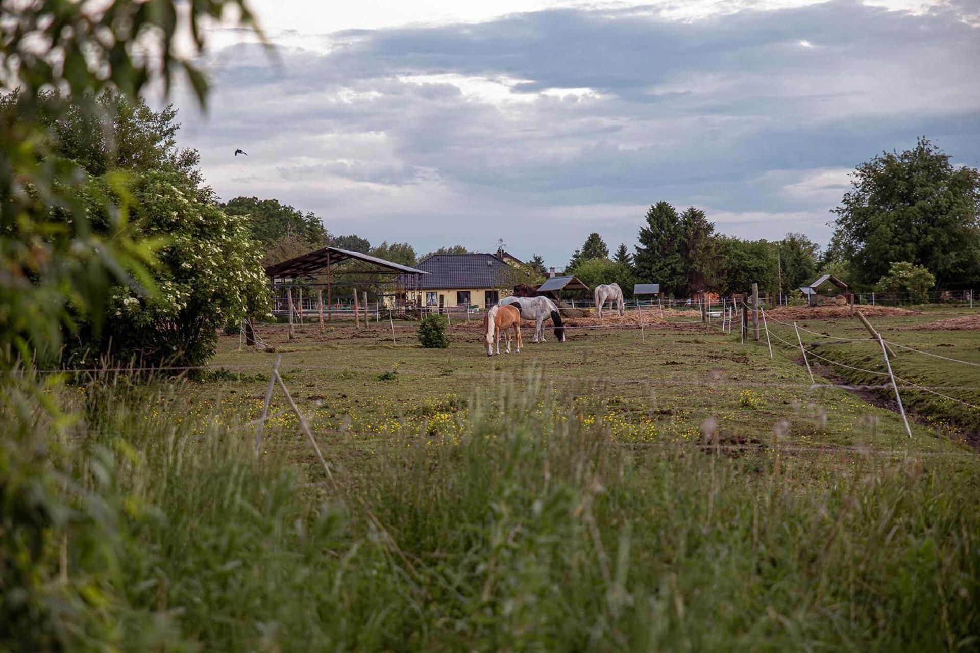 Sloneczna Przystan Villa Dziwnówek Dış mekan fotoğraf